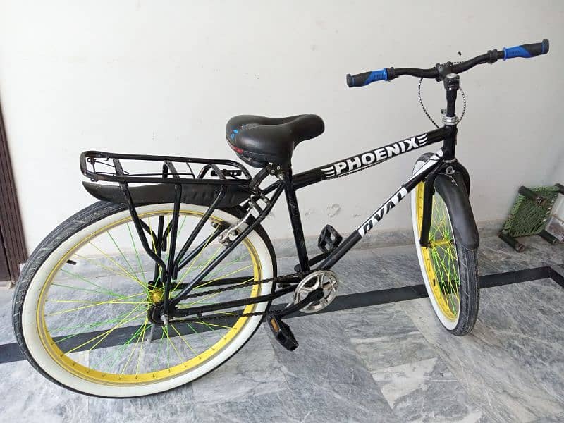 Phoenix Bicycle 3