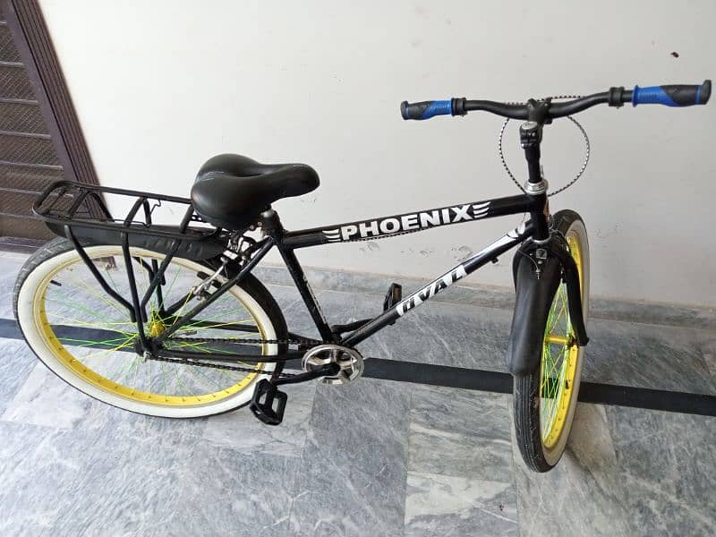 Phoenix Bicycle 4