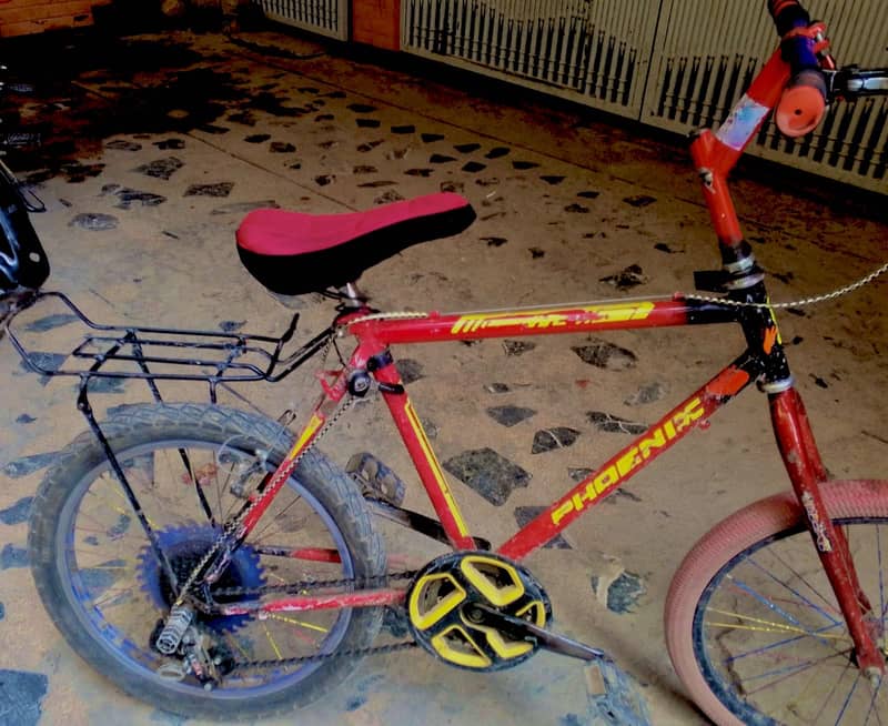 Phoenix cycle 0