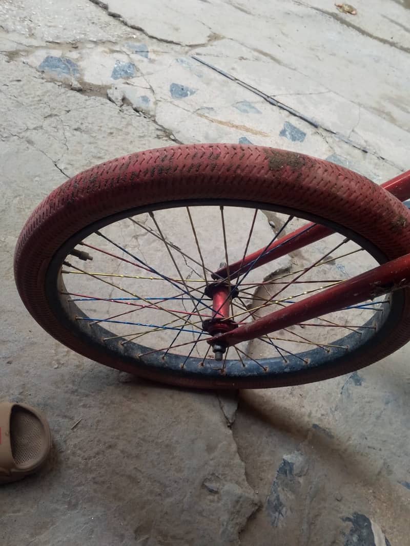 Phoenix cycle 1