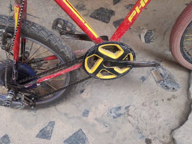 Phoenix cycle 4