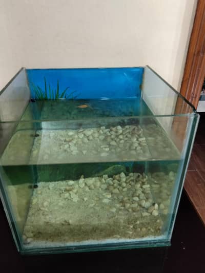 Aquarium for sale