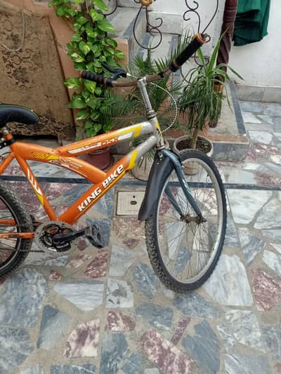 king bicycle