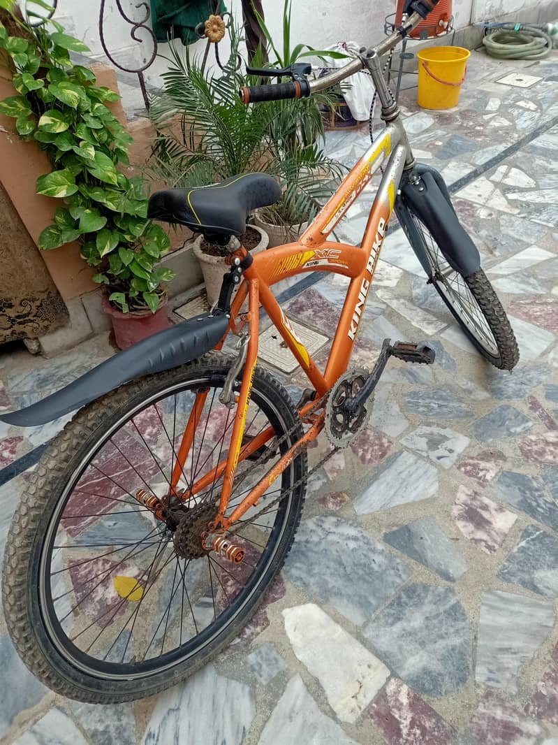 king bicycle 1