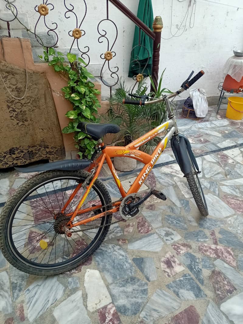 king bicycle 2