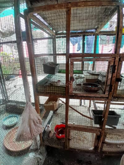 wooden portion cage for sale