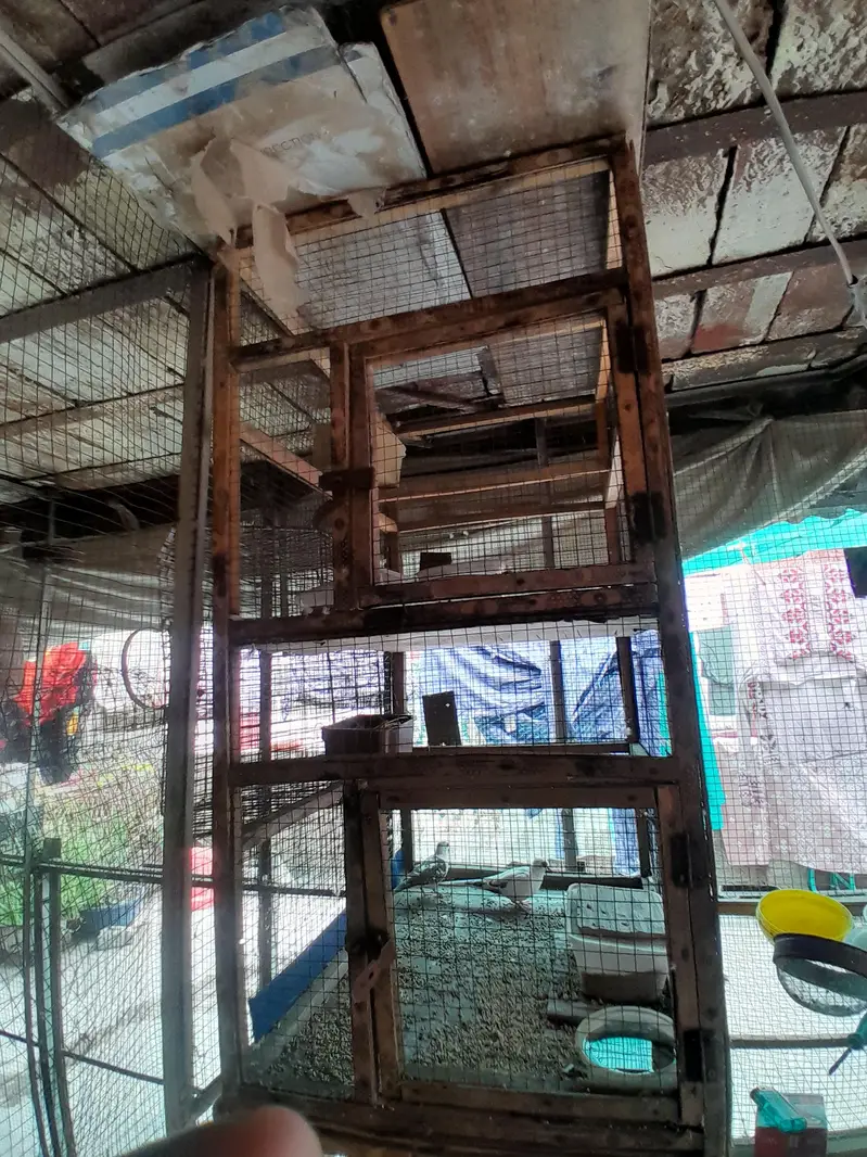 wooden portion cage for sale — photo 2