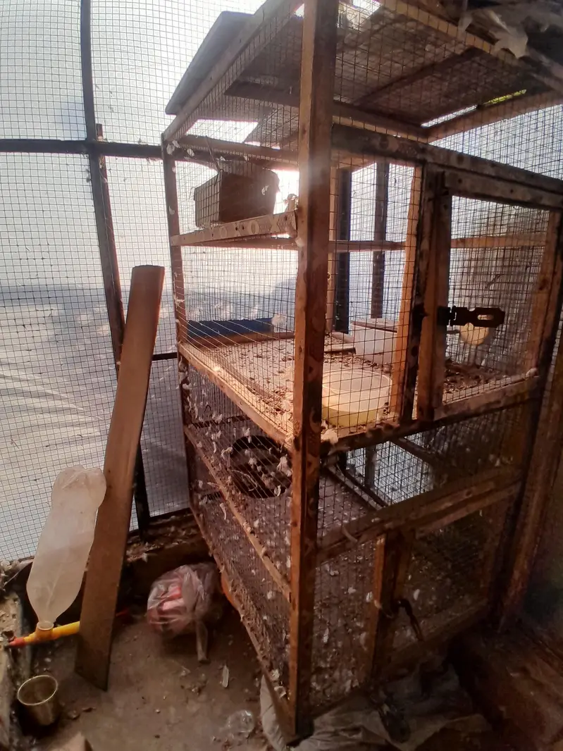 wooden portion cage for sale — photo 4