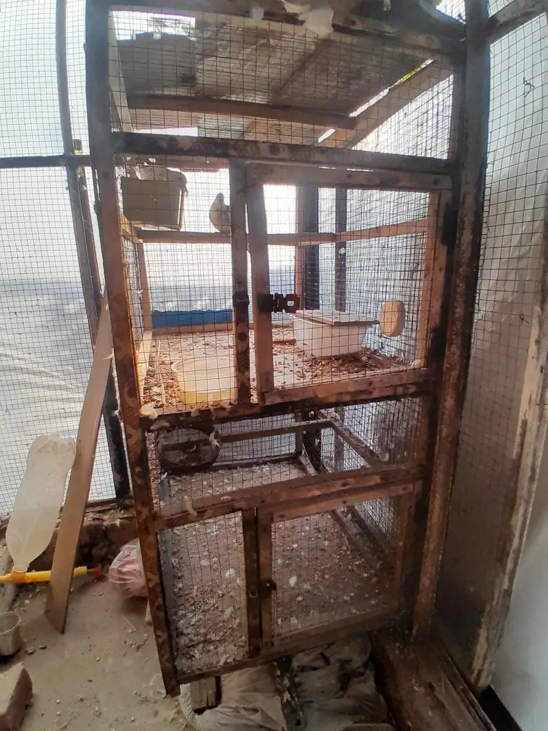 wooden portion cage for sale — photo 5