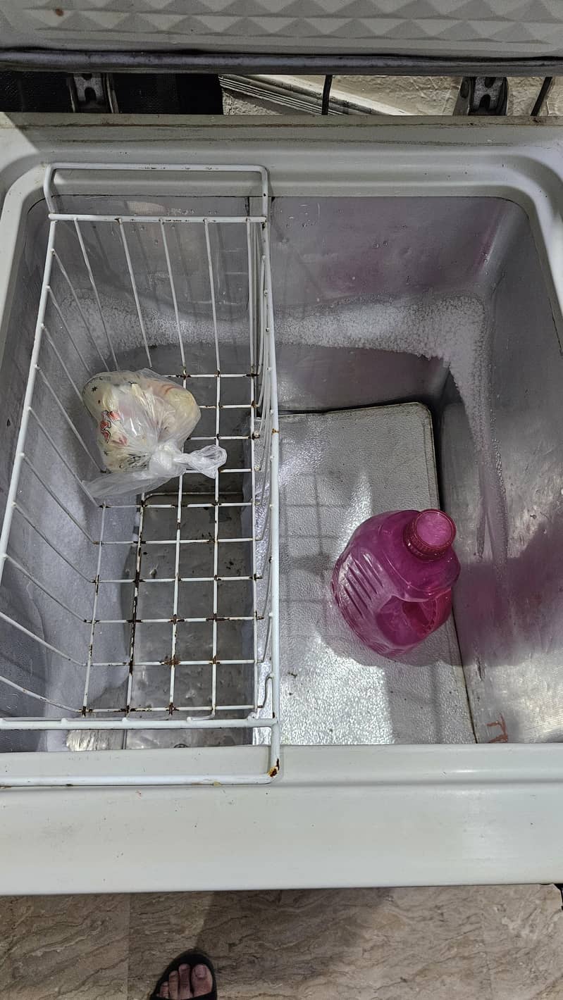 Dawlance Double Door Deep Freezer for Sale 6