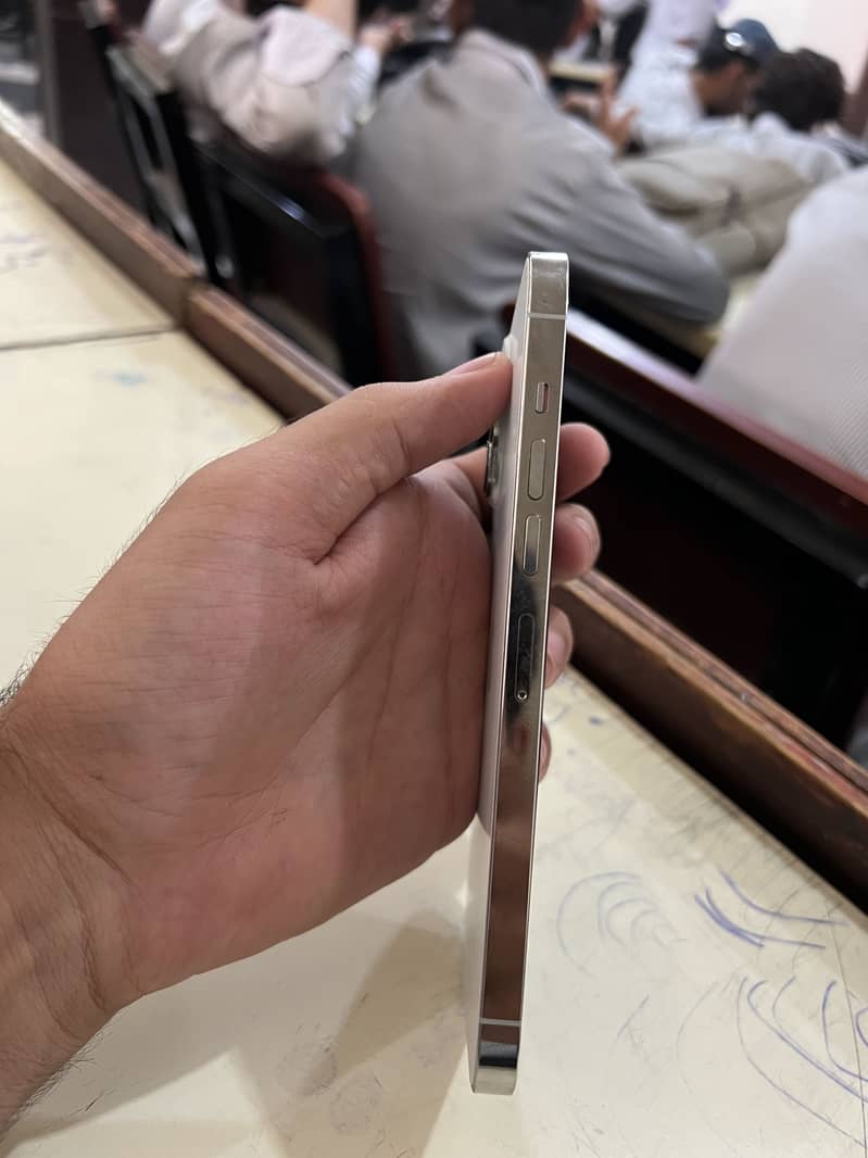 Apple iPhone 13 Pro Max 1