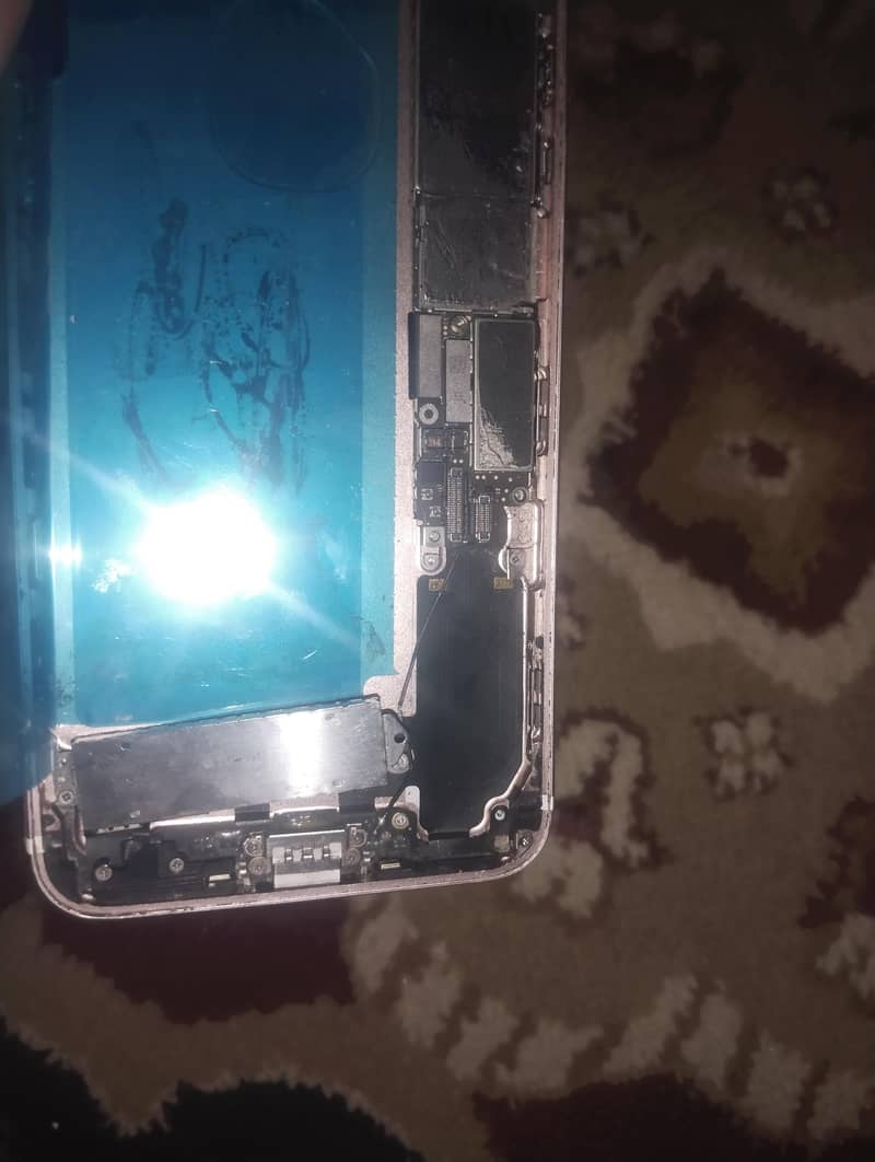 Apple iPhone 7 Plus 1