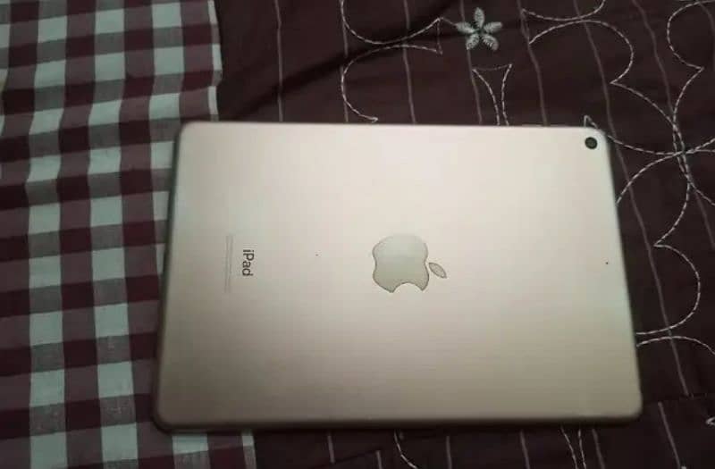 iPad Mini 5 1
