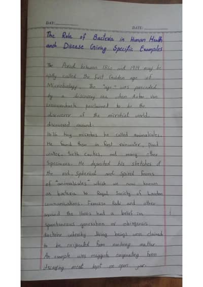 Handwriting 150/Page + Urdu English Typing - PU Lahore