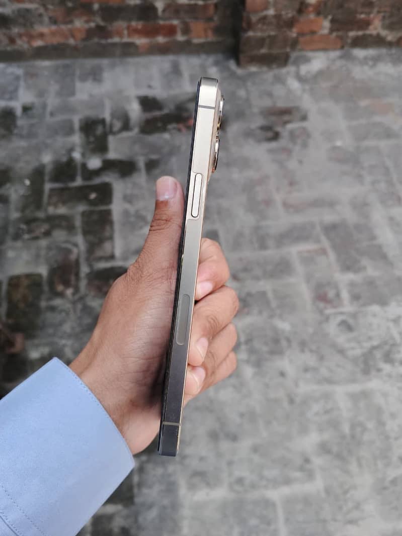 Apple iPhone 13 Pro Max 1