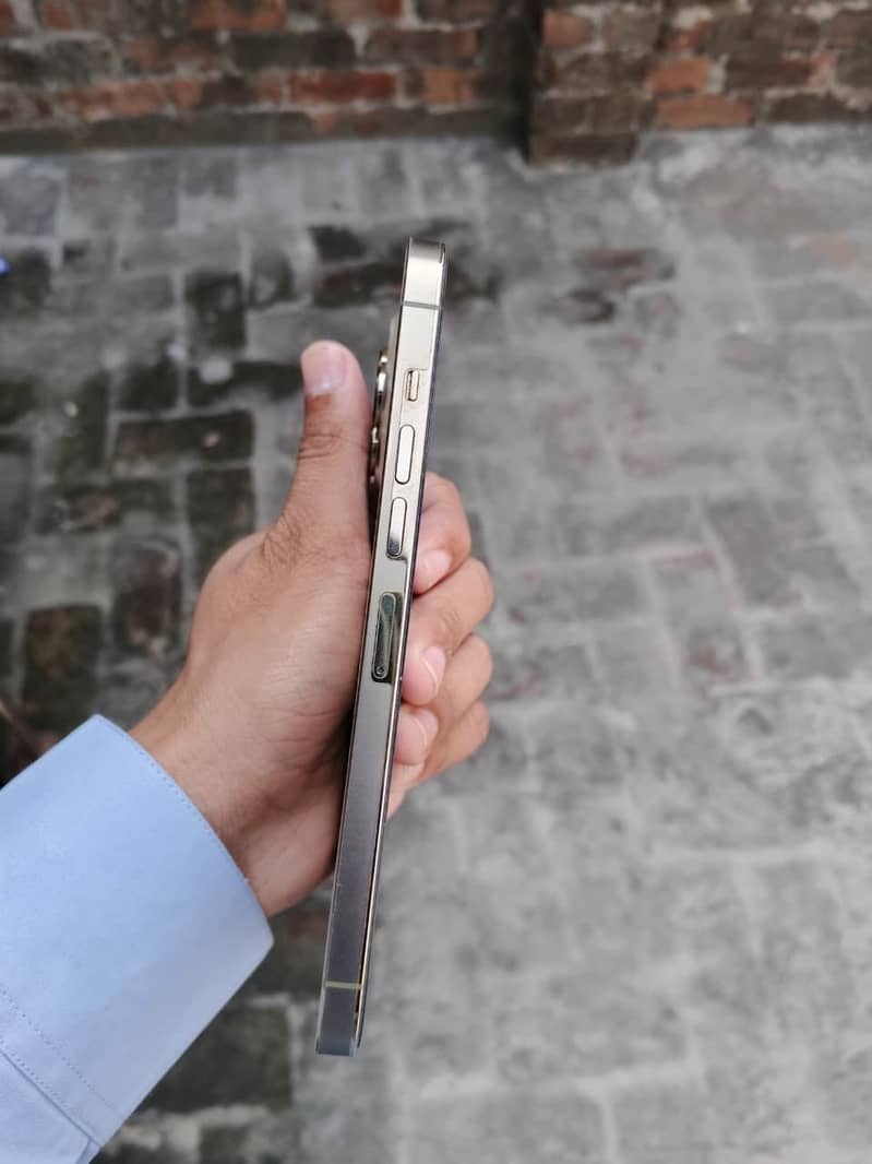 Apple iPhone 13 Pro Max 4
