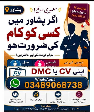 office work male and female required