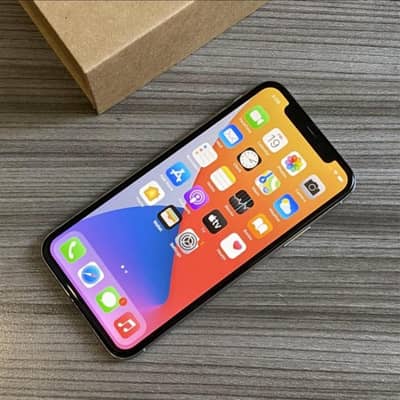 Apple iPhone X