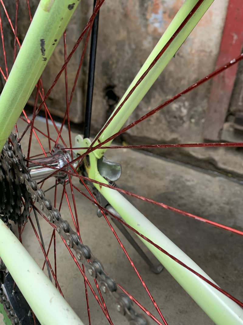 Cycle 1