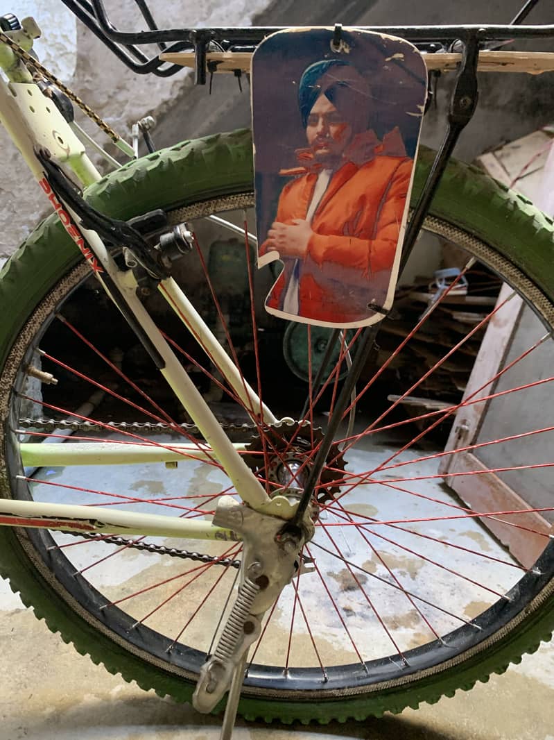 Cycle 4