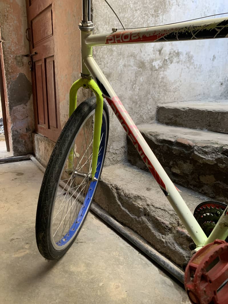 Cycle 5