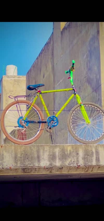 PHONEX CYCLE