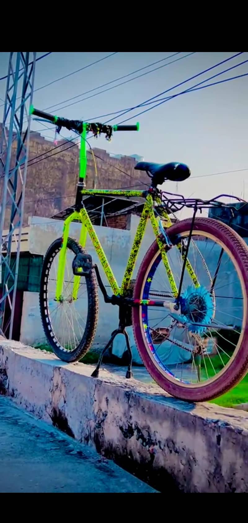 PHONEX CYCLE 2