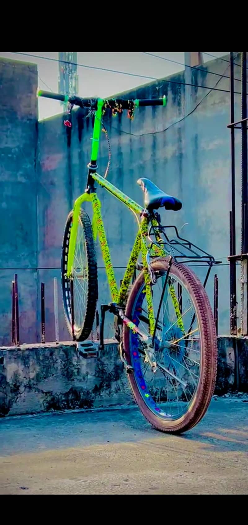 PHONEX CYCLE 3