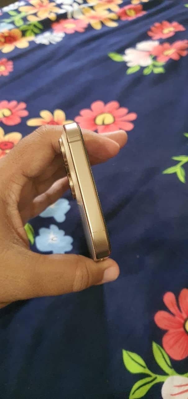 Apple iPhone 16 Pro Max 1