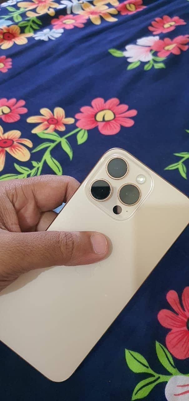 Apple iPhone 16 Pro Max 2