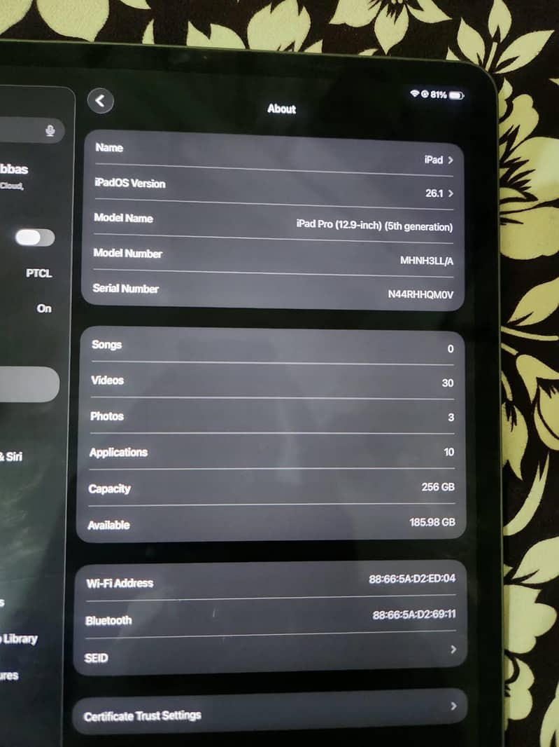 ipad m2--256GB 2