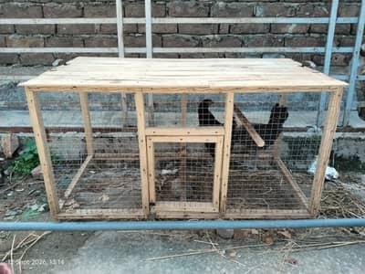Heavy Duty Wooden Cage | Best for Chickens and Parrots