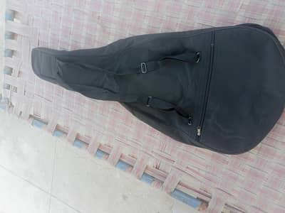guitar bag