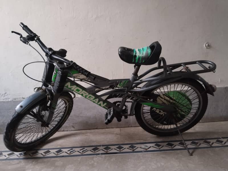 Morgan cycle 1