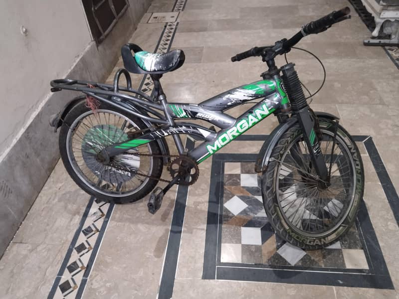 Morgan cycle 2