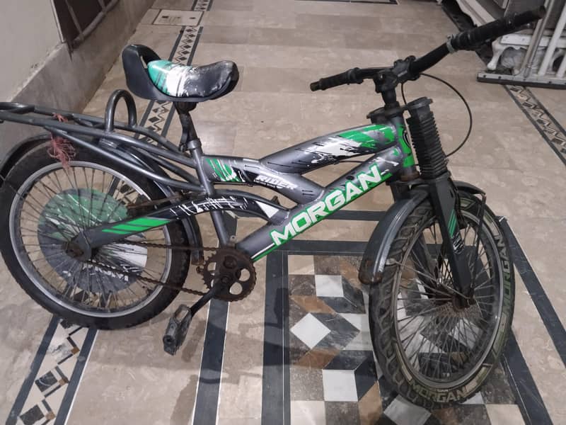 Morgan cycle 3