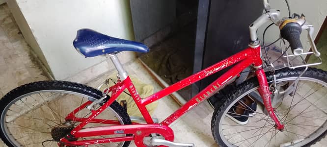 bianchi brnd hn all oky