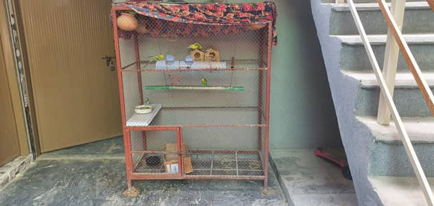 cage size 2x4 height 6 feet #birdhouse #pinjra with self cleaning