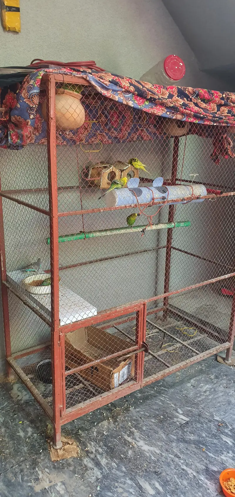 cage size 2x4 height 6 feet #birdhouse #pinjra with self cleaning — photo 2