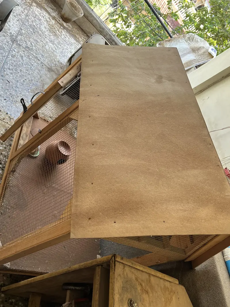 Bird cages — photo 2