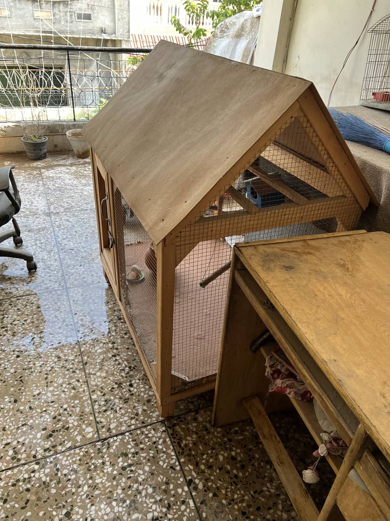 Bird cages 3