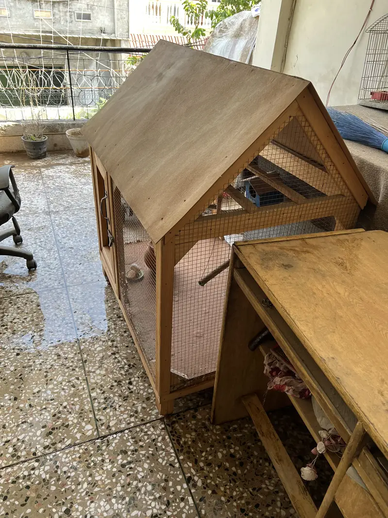 Bird cages — photo 4