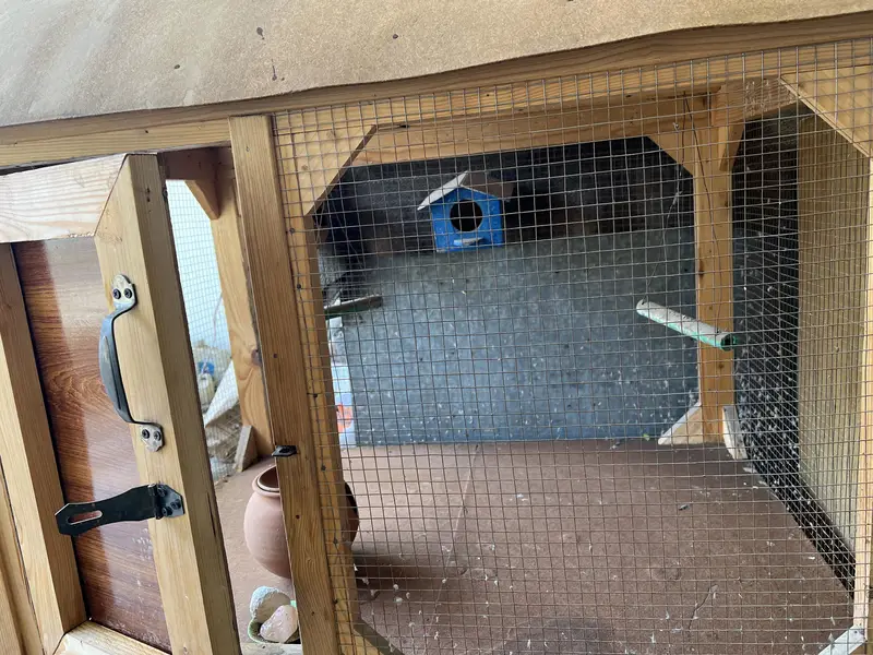 Bird cages — photo 5
