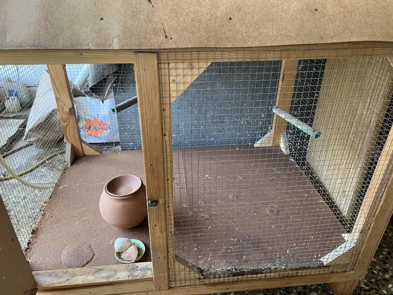 Bird cages — photo 7