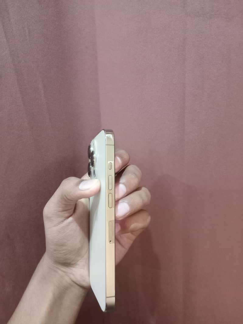Apple iPhone 13 Pro 2