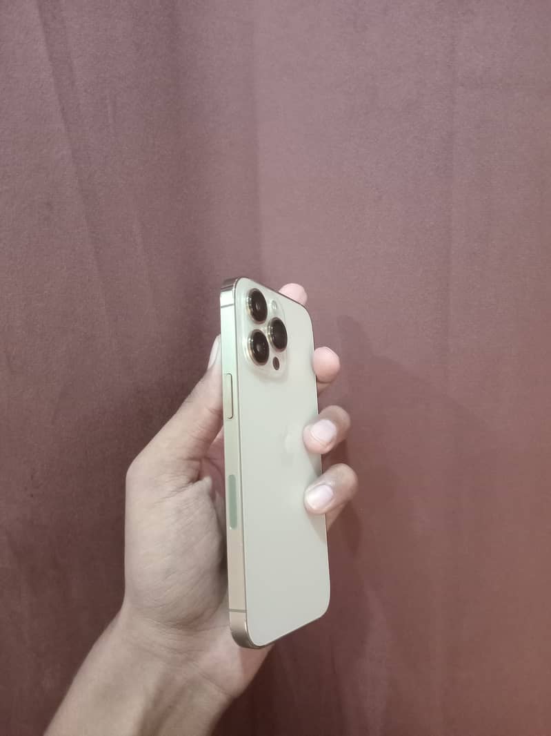 Apple iPhone 13 Pro 3