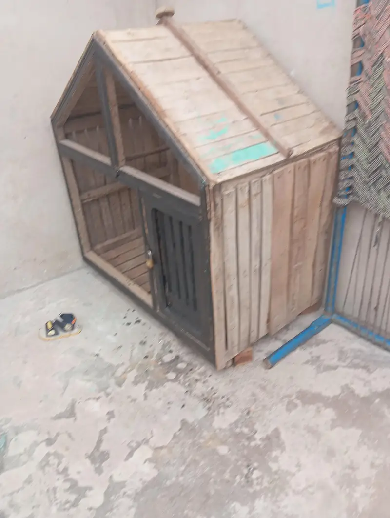 Byar ki lakadi all ok — photo 2