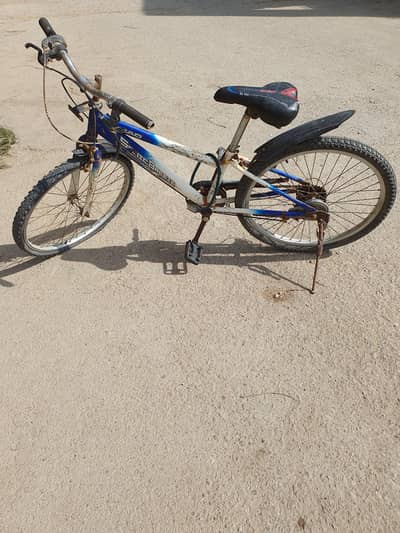 Cycle