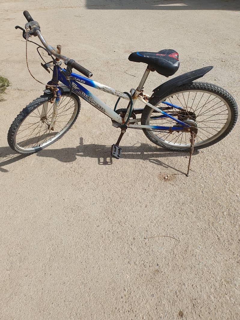 Cycle 0