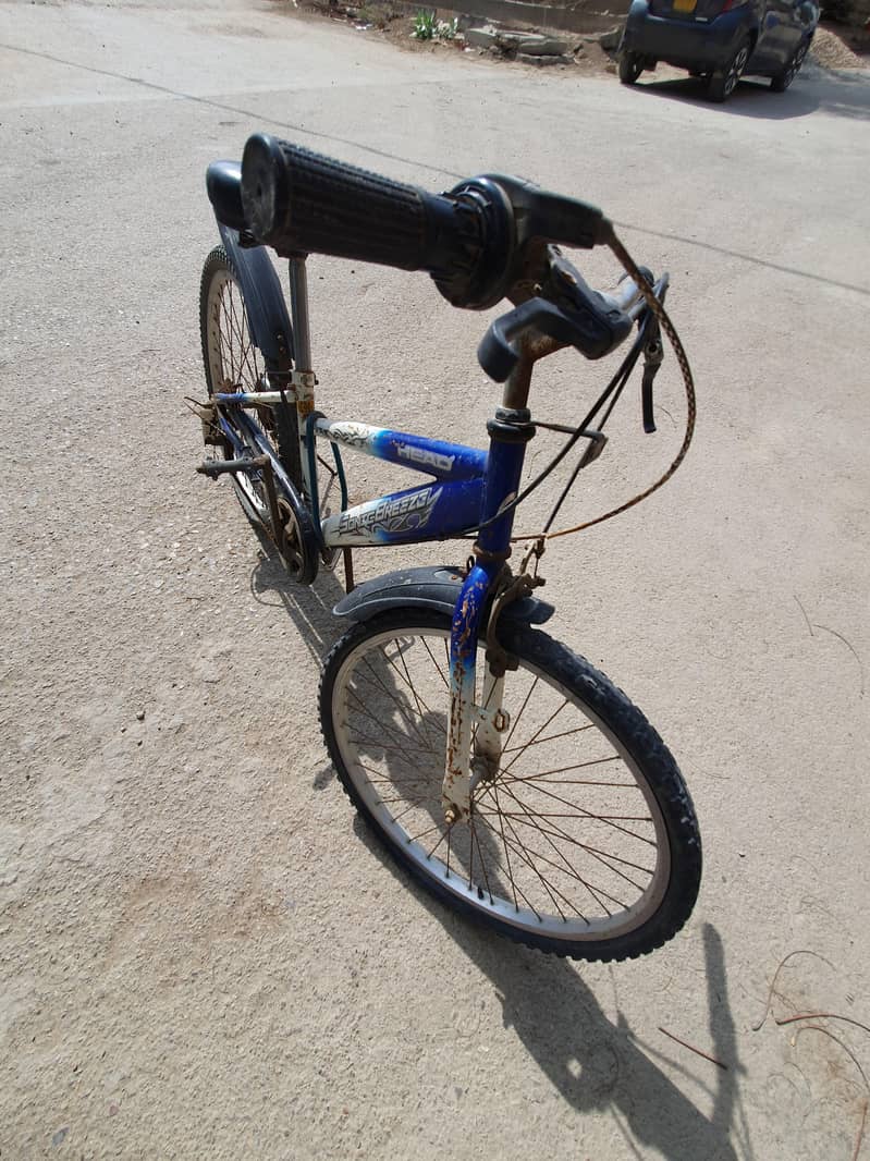 Cycle 1